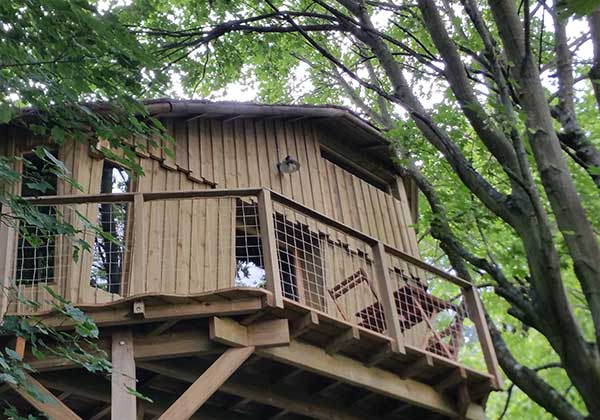 cabane perchee baie de somme